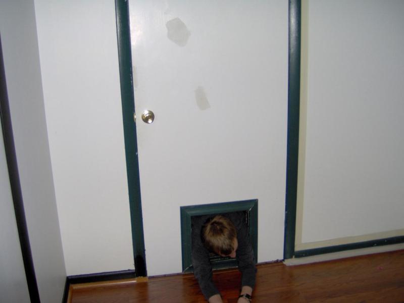 Kevin in the cat door